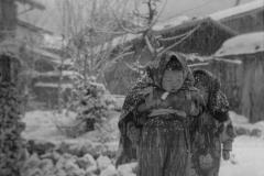 11825061cc64dd2bcc3b1e13655fc454-scaled