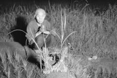 6cf190e356dd9fd10284b9cceb0078d0-scaled