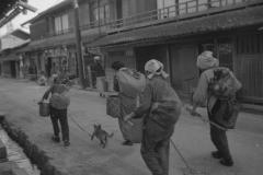 a12c768f132bf473b560ad67a526d2b4-scaled