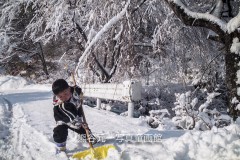 優良賞・川上和三　「ボクもお手伝いできるよ」（長野県浪合村）