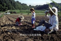 阿智村賞・柳澤正巖　「暑い日に」（長野県望月町）