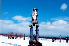 優良賞・千田久　「コリー犬の得意技！」（岩手県金ケ崎町）