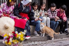 信濃毎日新聞社賞・北原千絵子　「ちょっと一息」（長野県東部町）