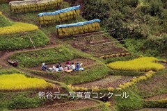 優良賞・鈴木正司　「棚田の稲刈り」（長野県中条村）