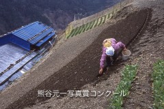 信濃毎日新聞社賞・松島信雄　「じゃがいもの植付け」（長野県上村）