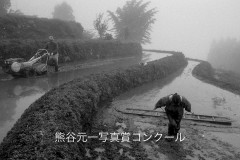 元一写真大賞・野間義長　「代かき」（愛媛県川内町）