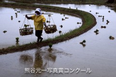 JAみなみ信州賞・河野サエ子　「棚田に生きる」（山口県油谷町）