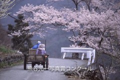 元一写真大賞・前島正介　「わしのマイカー」（長野県大鹿村）