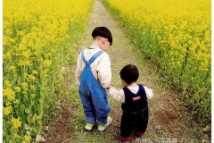 JAみなみ信州賞　「なかよし」　笹田雅代　(愛媛県大洲市)