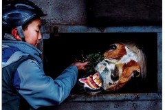 「おやつタイム」阿部鳩枝 「おやつタイム」阿部鳩枝