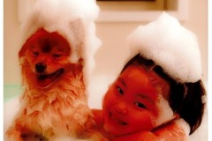 「いい湯だワン」髙橋秀治 「いい湯だワン」髙橋秀治