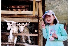 「ふたごのやぎがいたよ‼」櫻井真弓