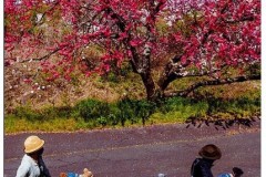 「春うらら」守屋萬次 「春うらら」守屋萬次